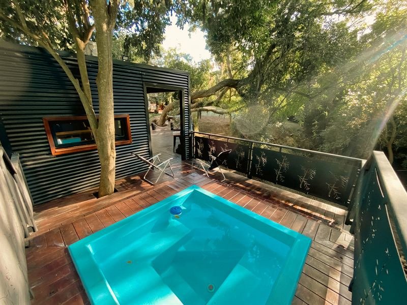 Piscina sobre un deck de madera rodeado de árboles, con luz de sol entre las copas